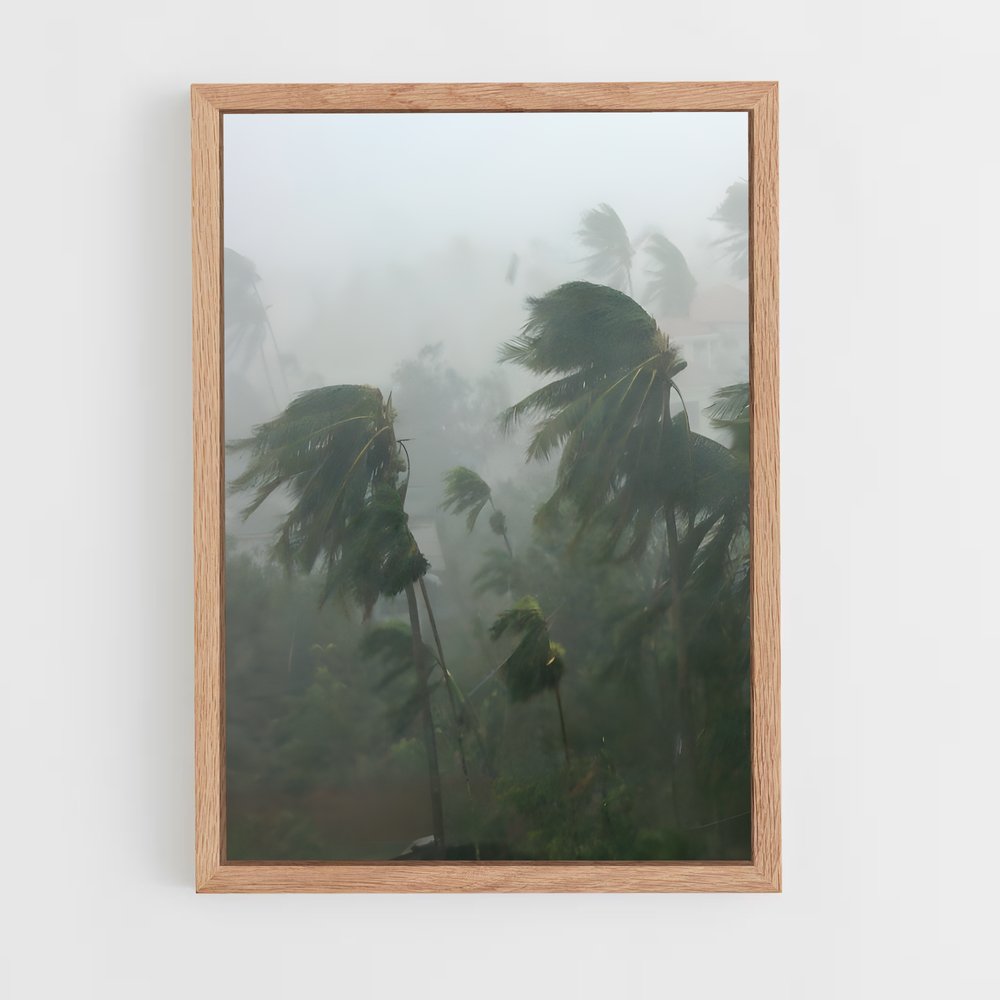 ap-tropical storm-1 cadre Bois clair