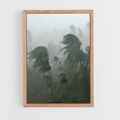 ap-tropical storm-1 cadre Bois clair
