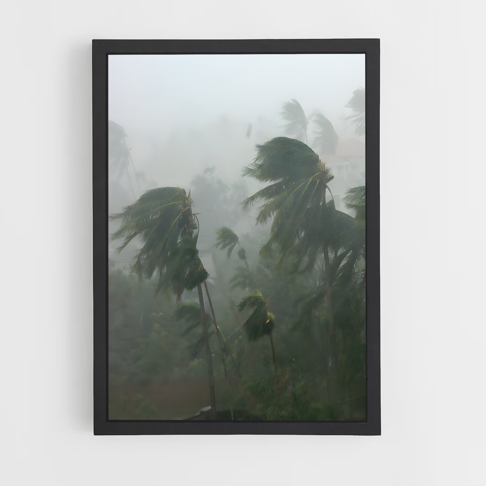 ap-tropical storm-1 cadre Noir