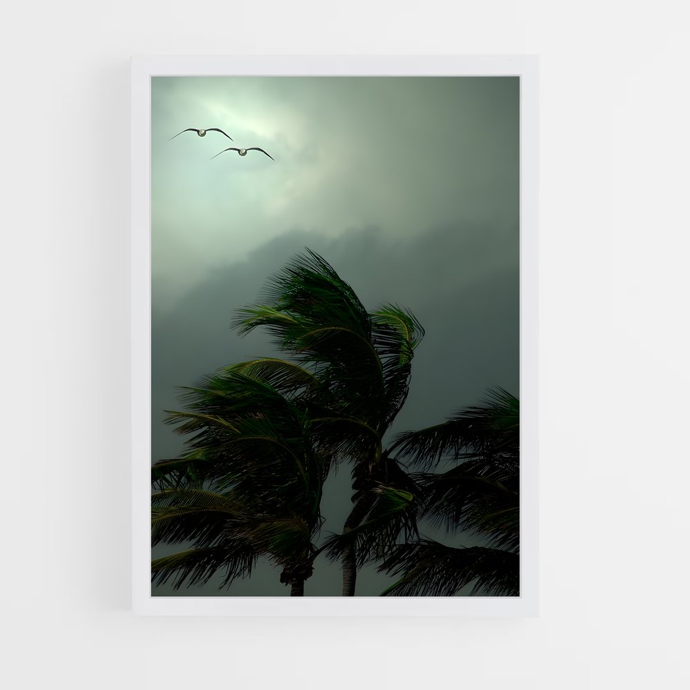 ap-tropical storm-2 cadre Blanc