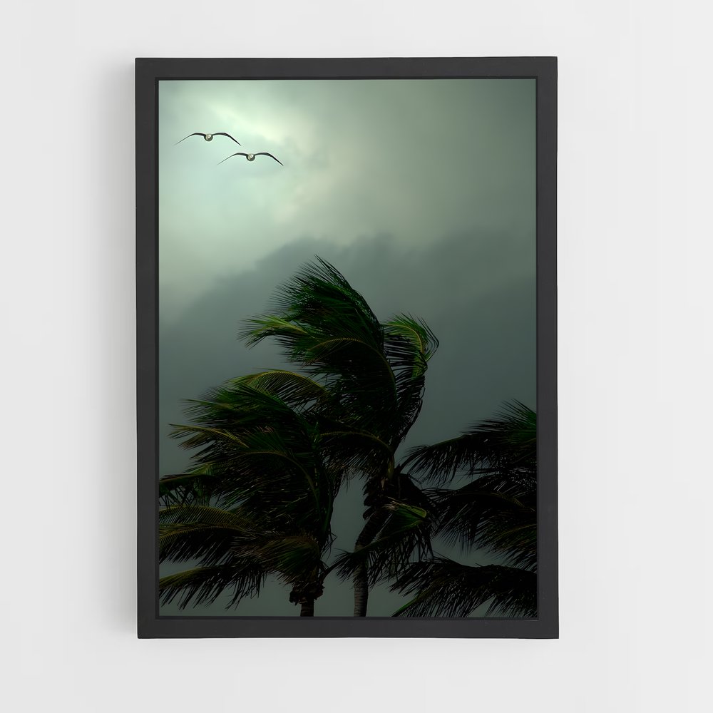 ap-tropical storm-2 cadre Noir