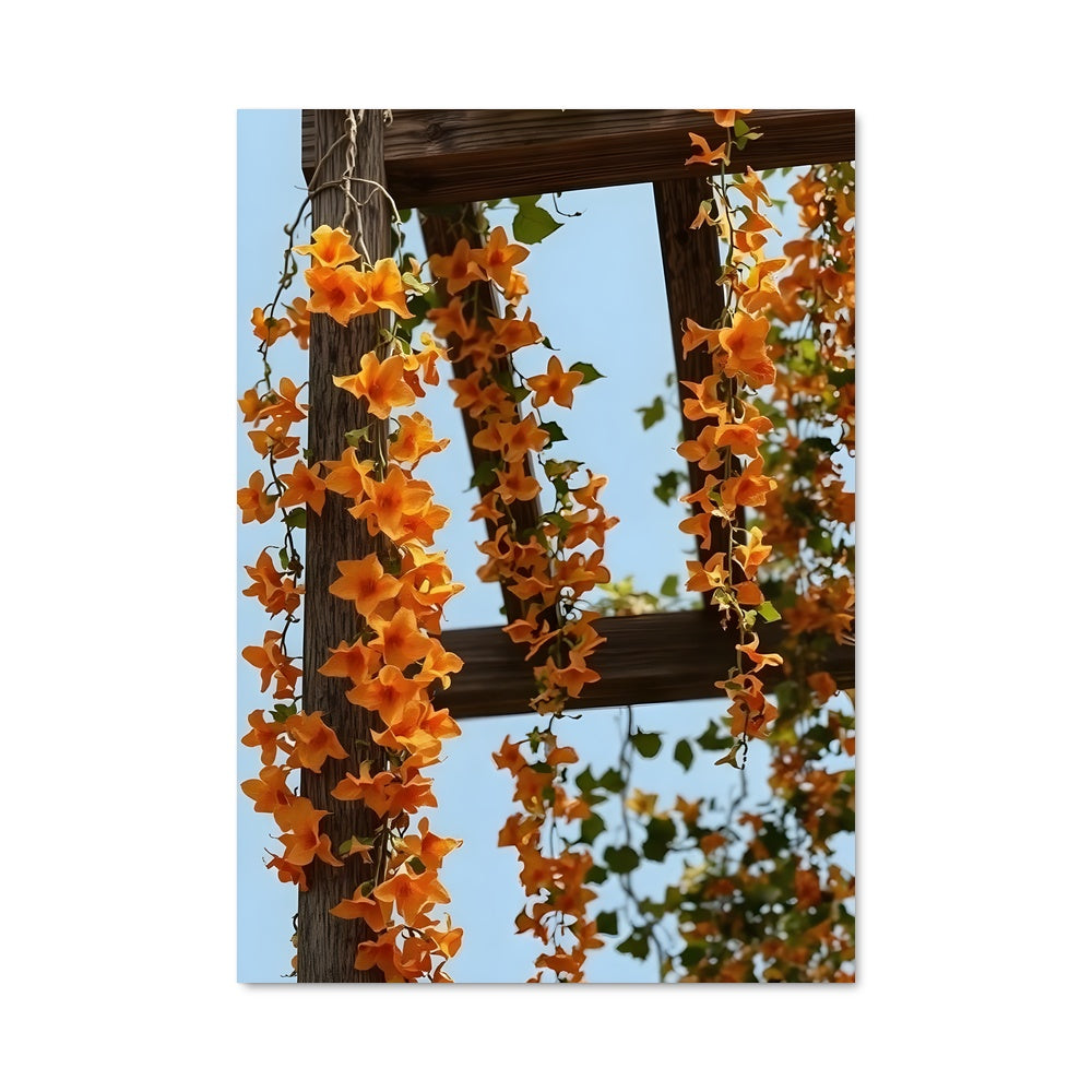 Poster Fleur de Trompette