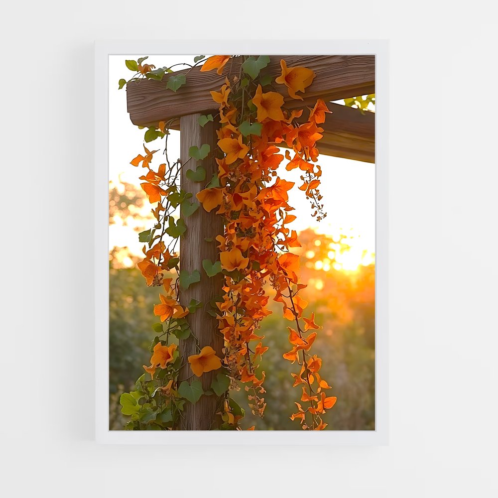 ap-trumpet vine-1 cadre Blanc