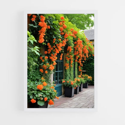 ap-trumpet vine-2 cadre Blanc