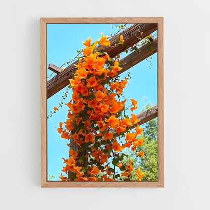 ap-trumpet vine-3 cadre Bois clair