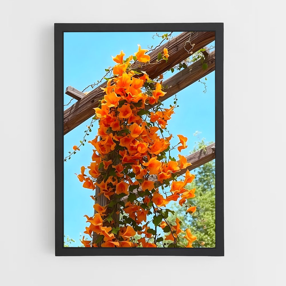 ap-trumpet vine-3 cadre Noir