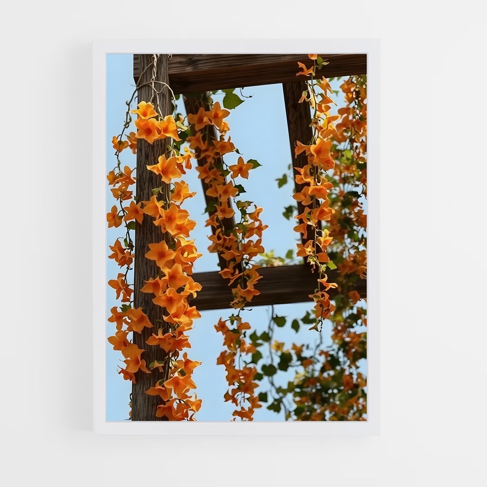 ap-trumpet vine-4 cadre Blanc