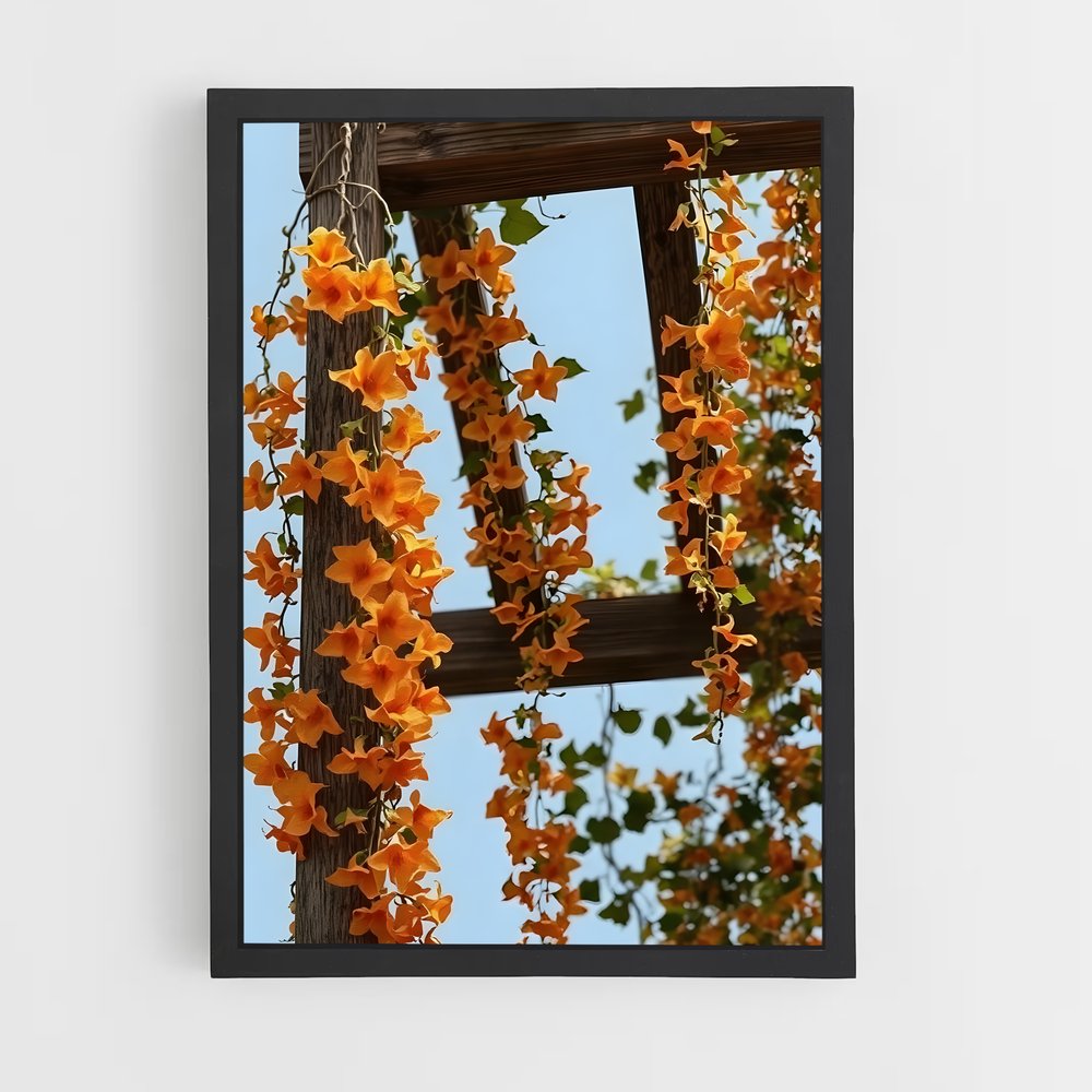 ap-trumpet vine-4 cadre Noir