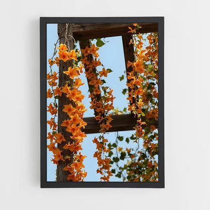 ap-trumpet vine-4 cadre Noir