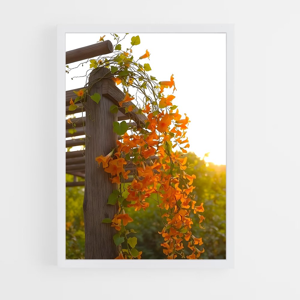 ap-trumpet vine-6 cadre Blanc