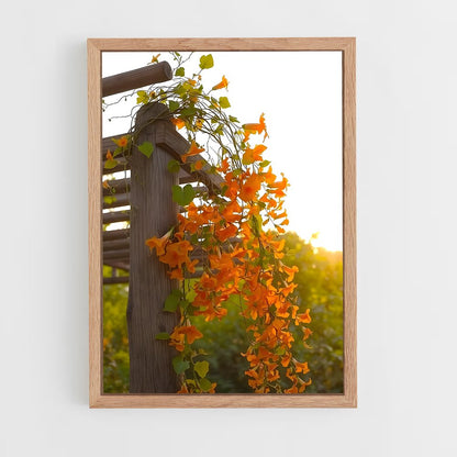 ap-trumpet vine-6 cadre Bois clair