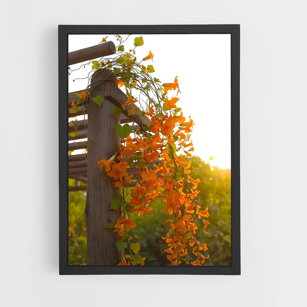 ap-trumpet vine-6 cadre Noir