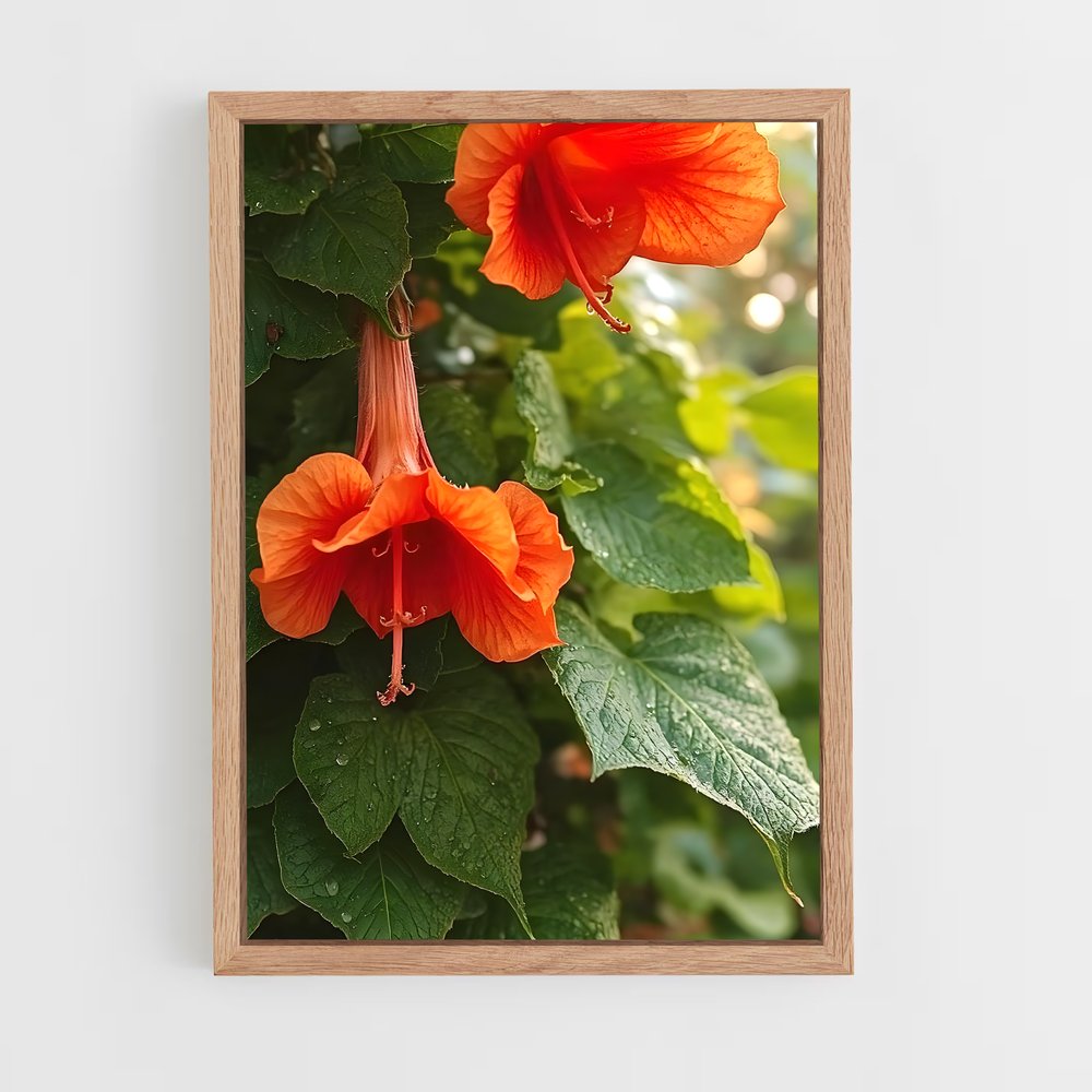 ap-trumpet vine-7 cadre Bois clair