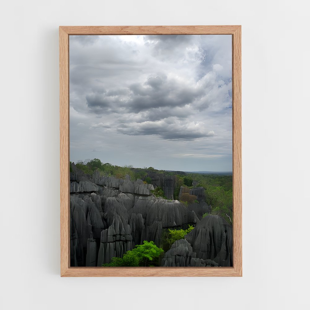 ap-tsingy de bemaraha-2 cadre Bois clair