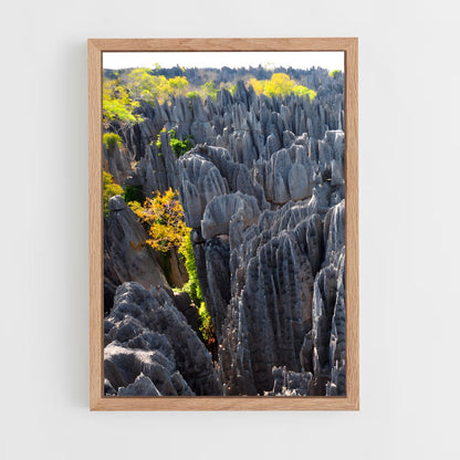 ap-tsingy de bemaraha-3 cadre Bois clair