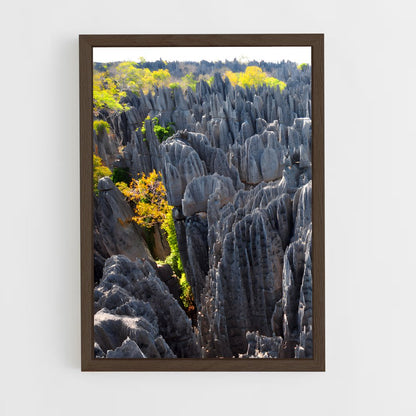 ap-tsingy de bemaraha-3 cadre Bois foncé