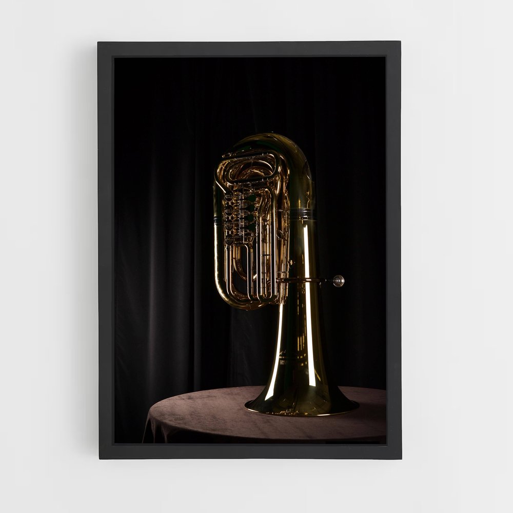 ap-tuba-3 cadre Noir