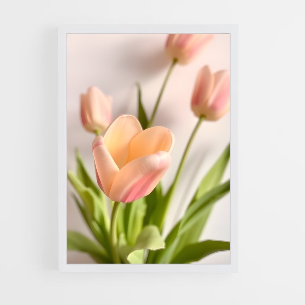 ap-tulip-10 cadre Blanc