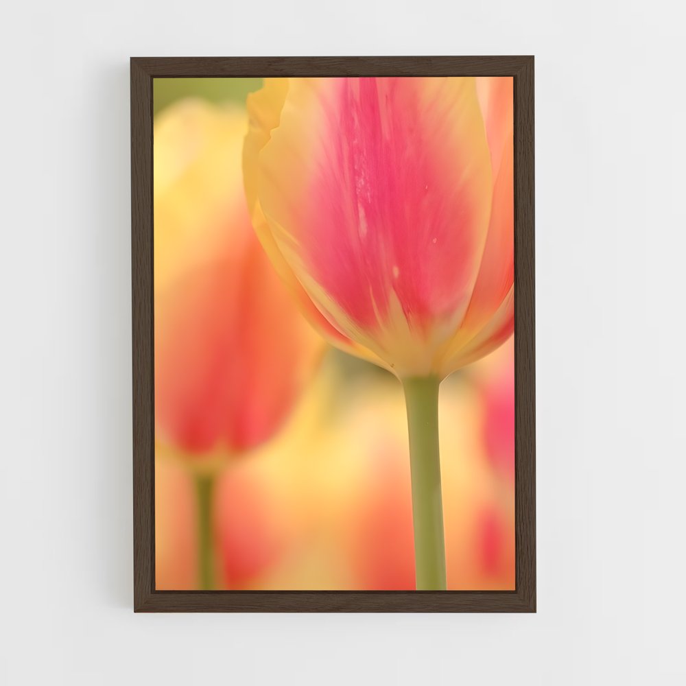 ap-tulip-11 cadre Bois foncé
