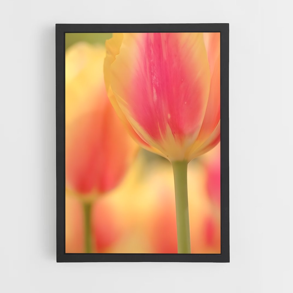 ap-tulip-11 cadre Noir