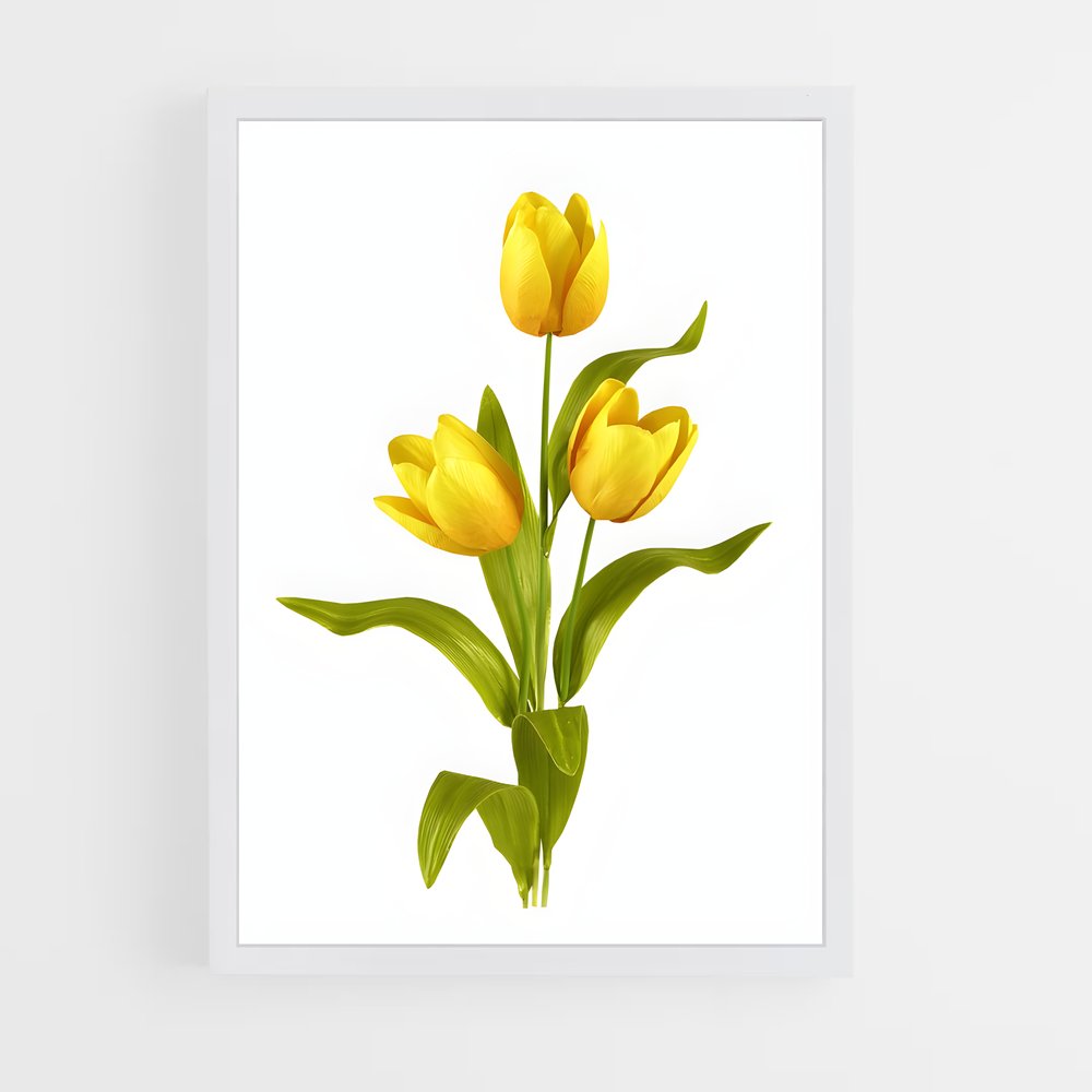 ap-tulip-12 cadre Blanc