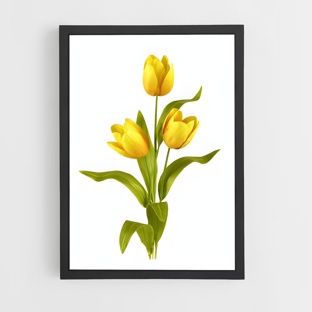 ap-tulip-12 cadre Noir
