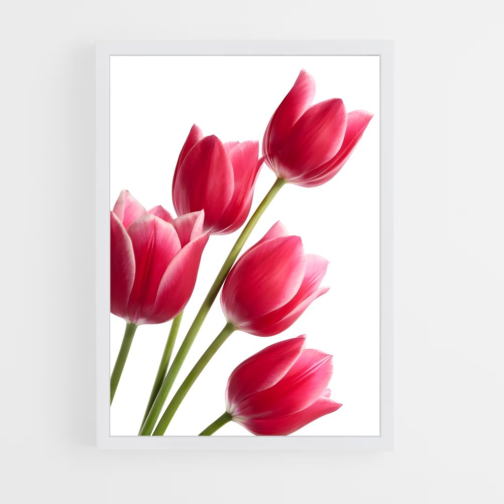 ap-tulip-13 cadre Blanc