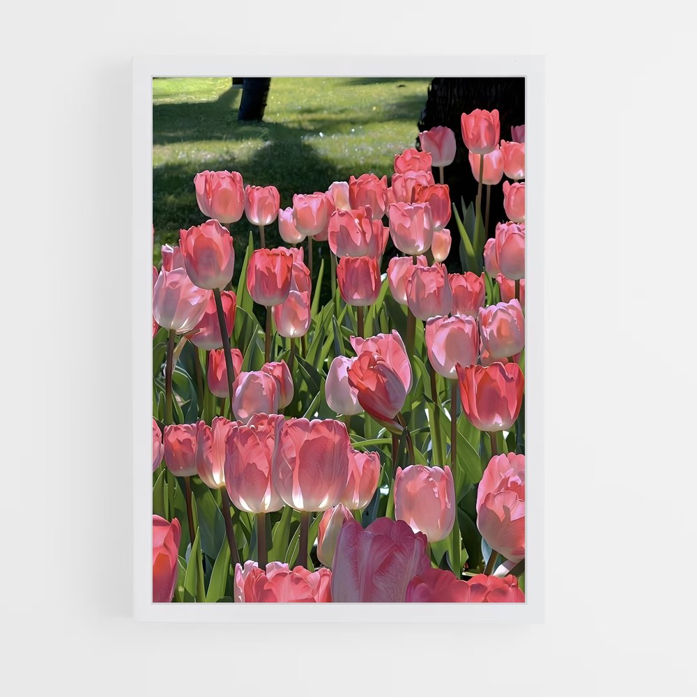 ap-tulip-2 cadre Blanc
