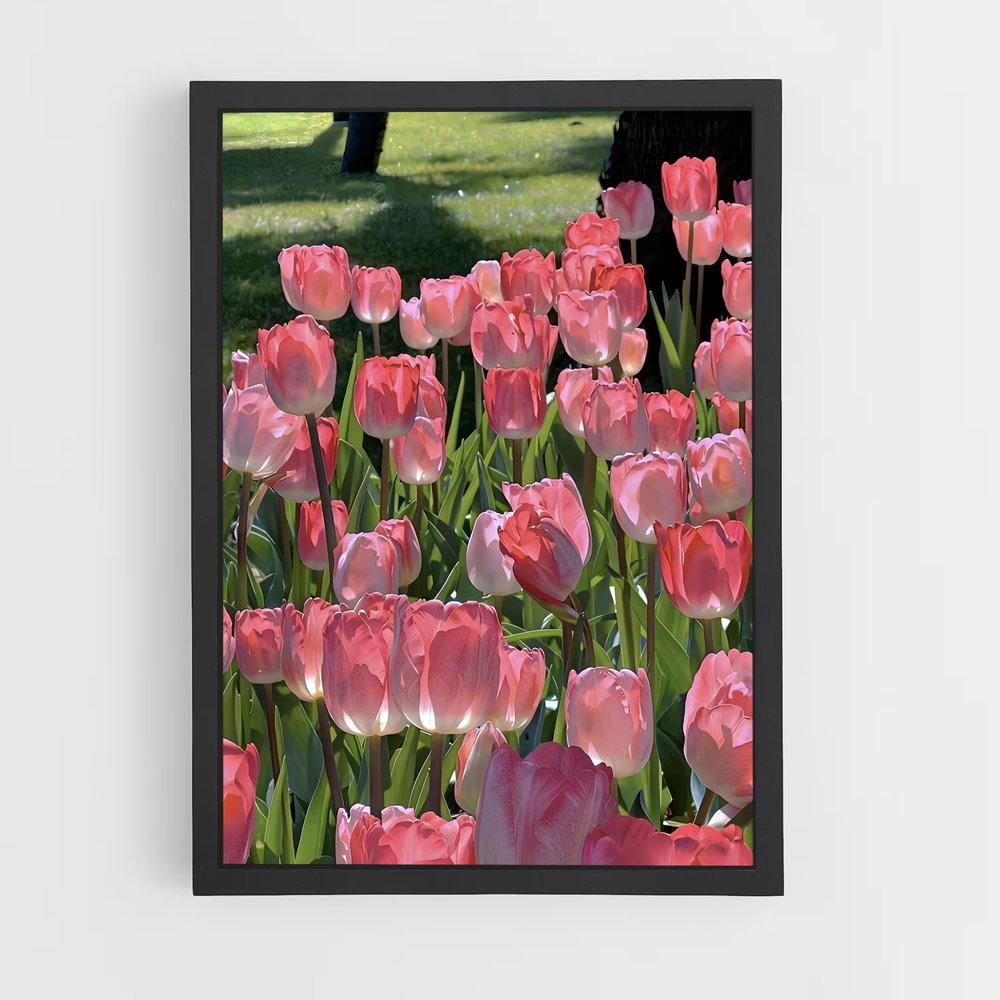 ap-tulip-2 cadre Noir
