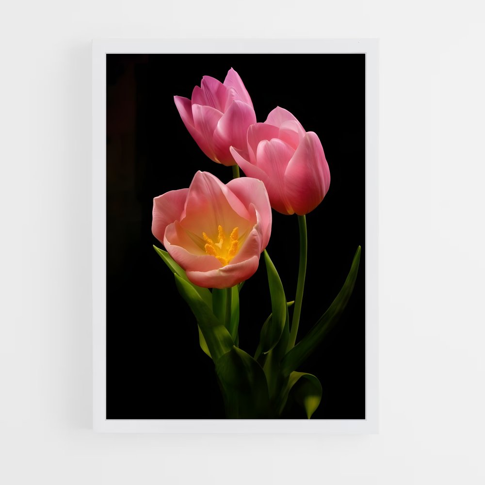 ap-tulip-3 cadre Blanc