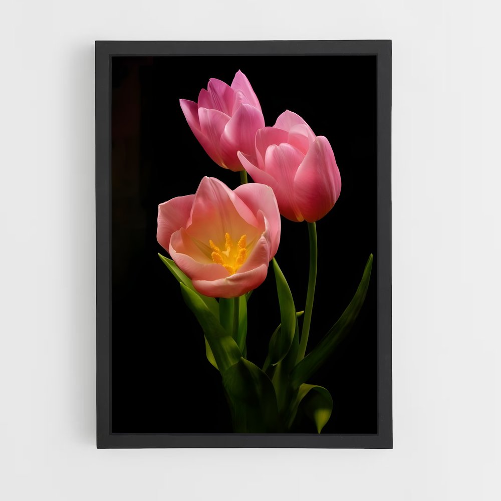 ap-tulip-3 cadre Noir