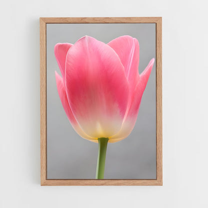 ap-tulip-4 cadre Bois clair