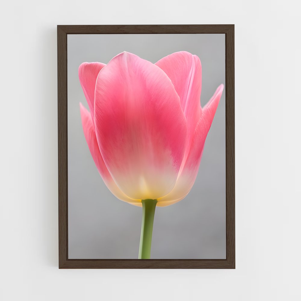 ap-tulip-4 cadre Bois foncé