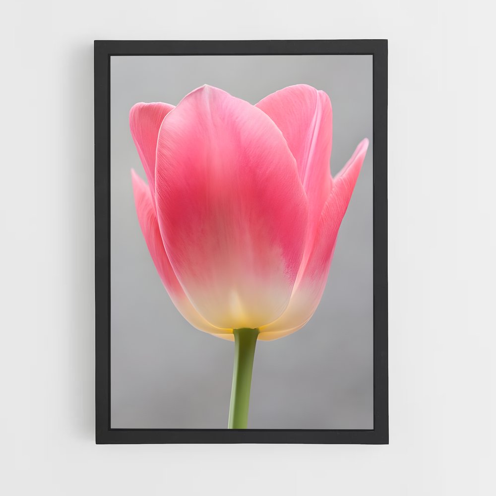 ap-tulip-4 cadre Noir