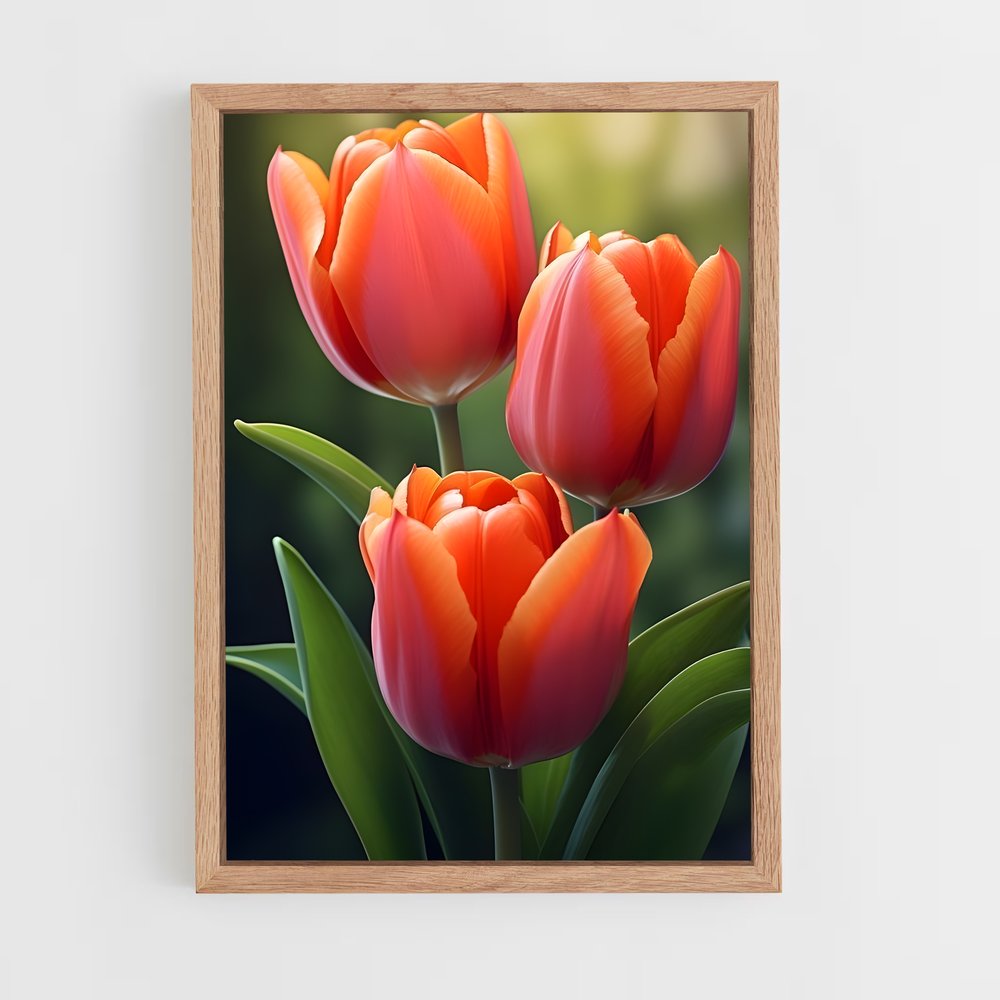 ap-tulip-5 cadre Bois clair