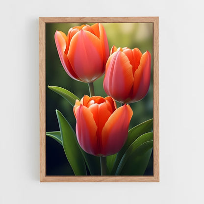 ap-tulip-5 cadre Bois clair