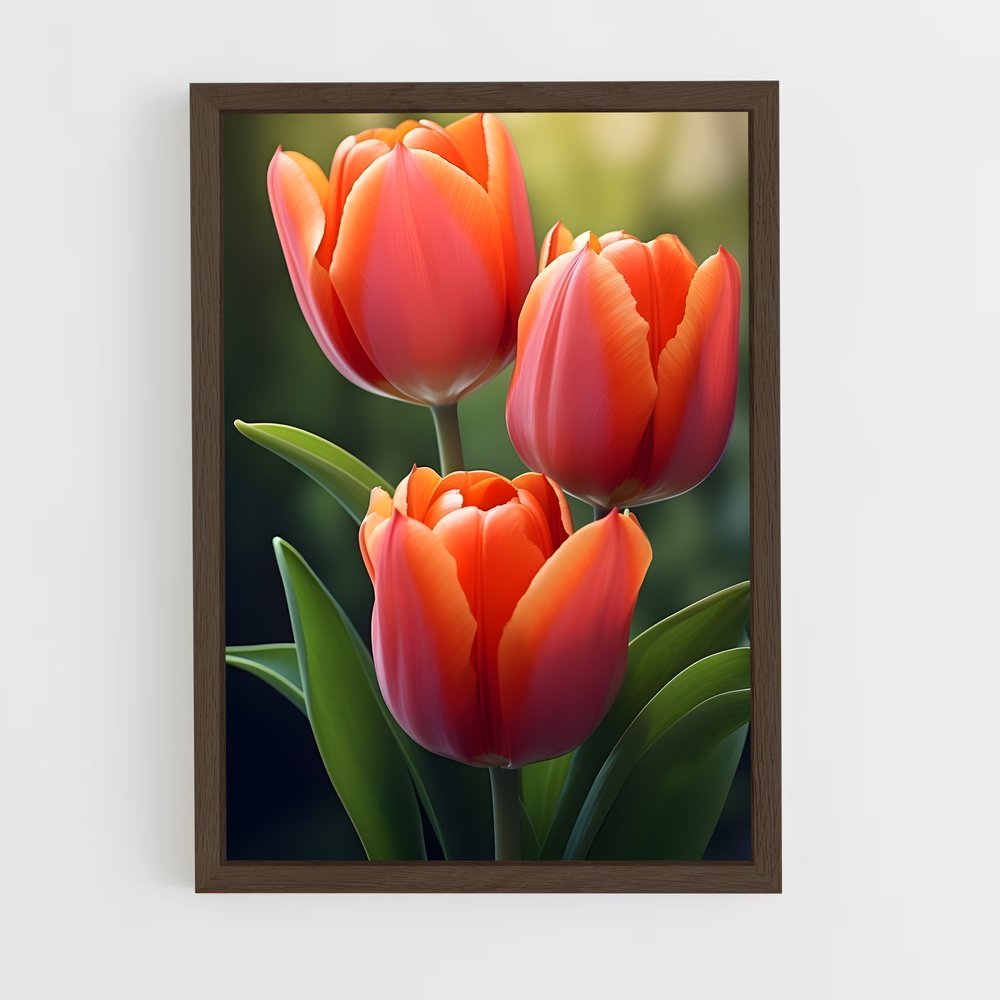 ap-tulip-5 cadre Bois foncé