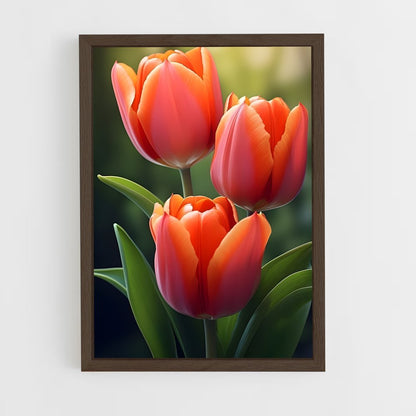 ap-tulip-5 cadre Bois foncé
