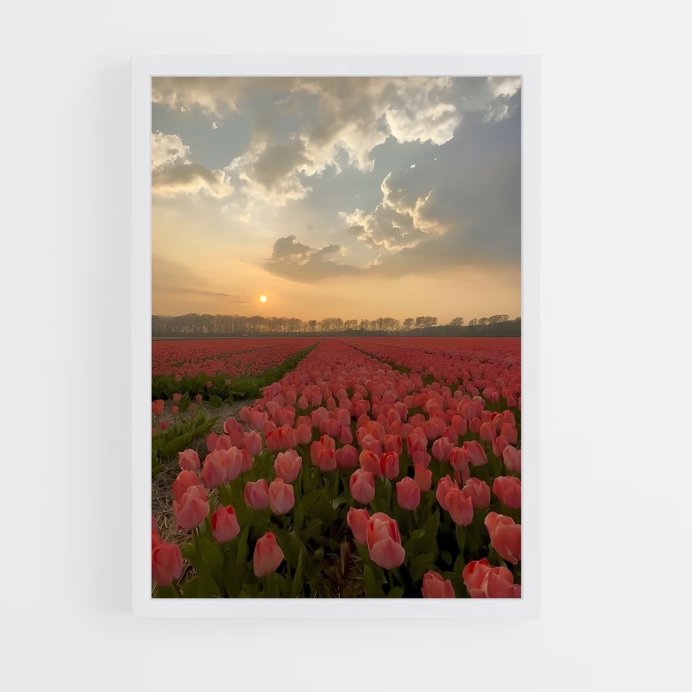 ap-tulip-6 cadre Blanc