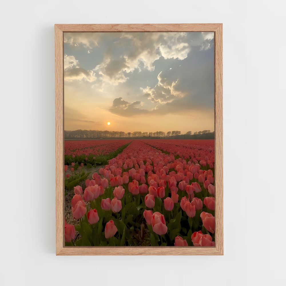 ap-tulip-6 cadre Bois clair