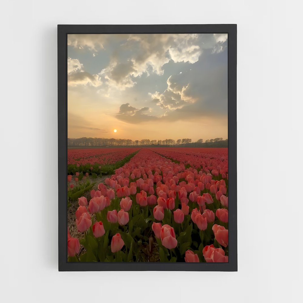 ap-tulip-6 cadre Noir