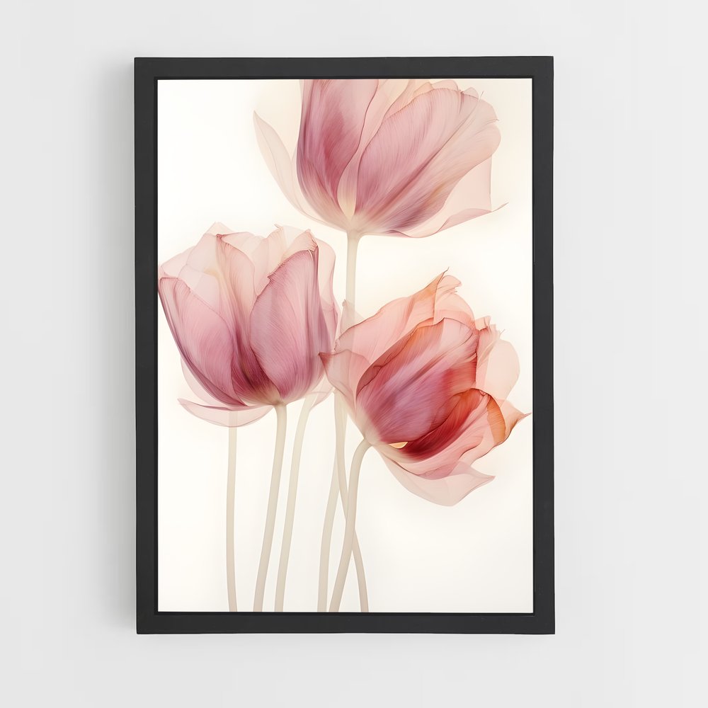 ap-tulip-7 cadre Noir