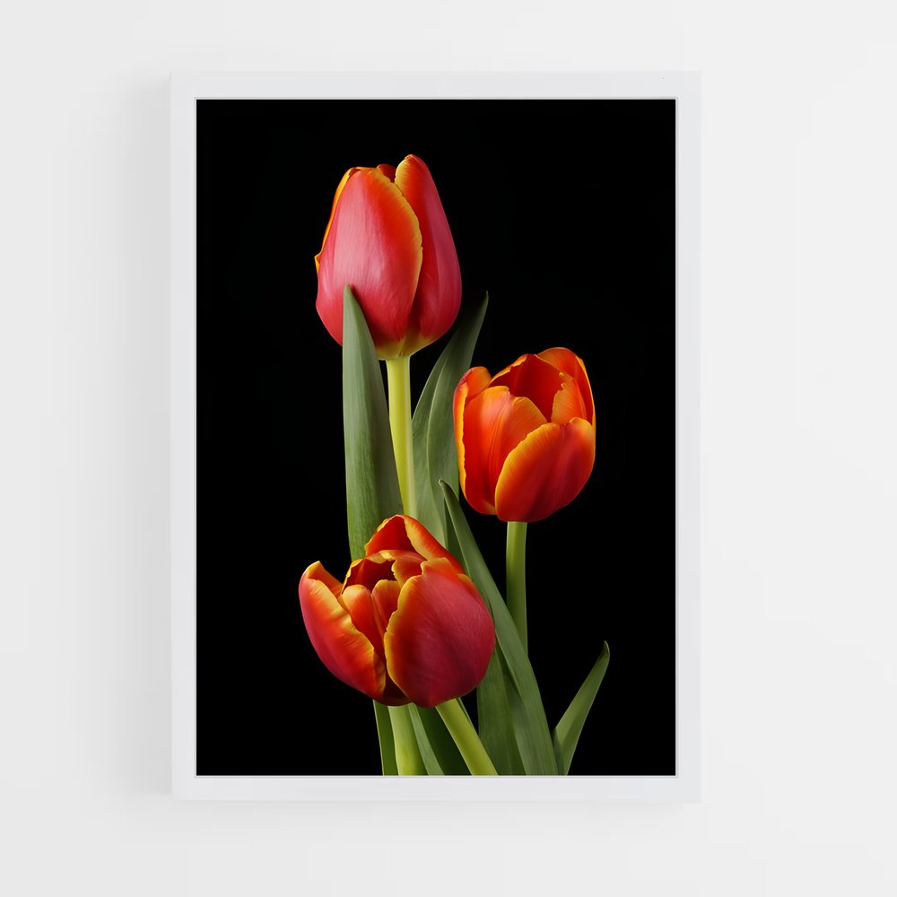 ap-tulip-9 cadre Blanc