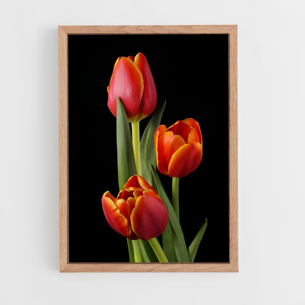 ap-tulip-9 cadre Bois clair