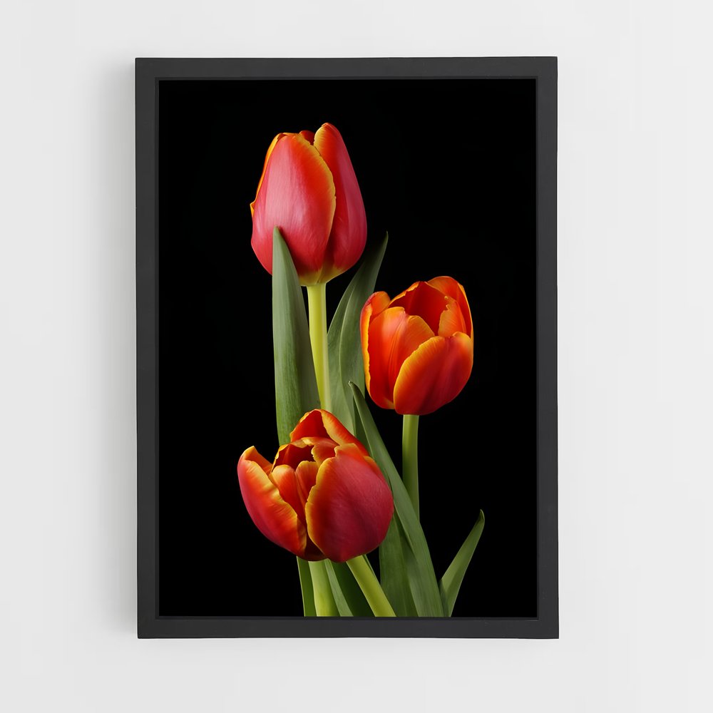 ap-tulip-9 cadre Noir