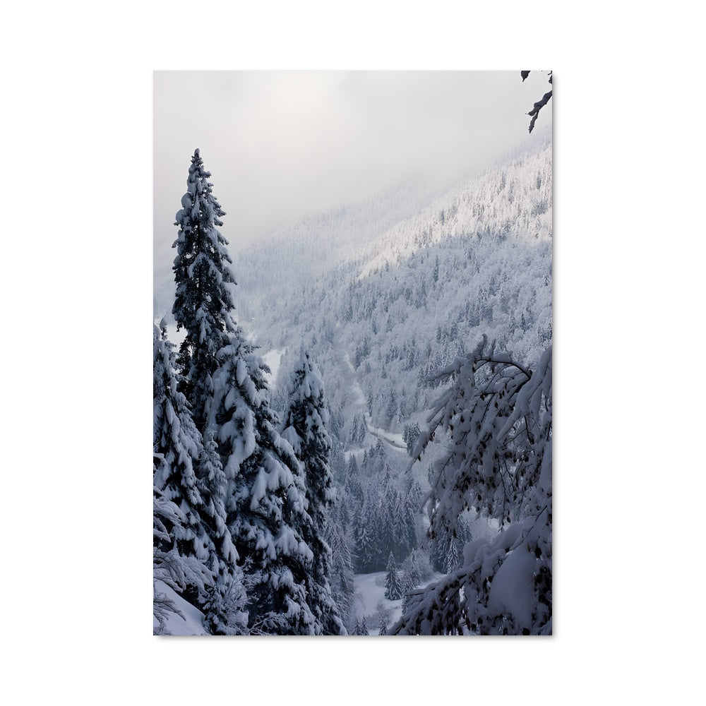 Poster Forêt Enneigée