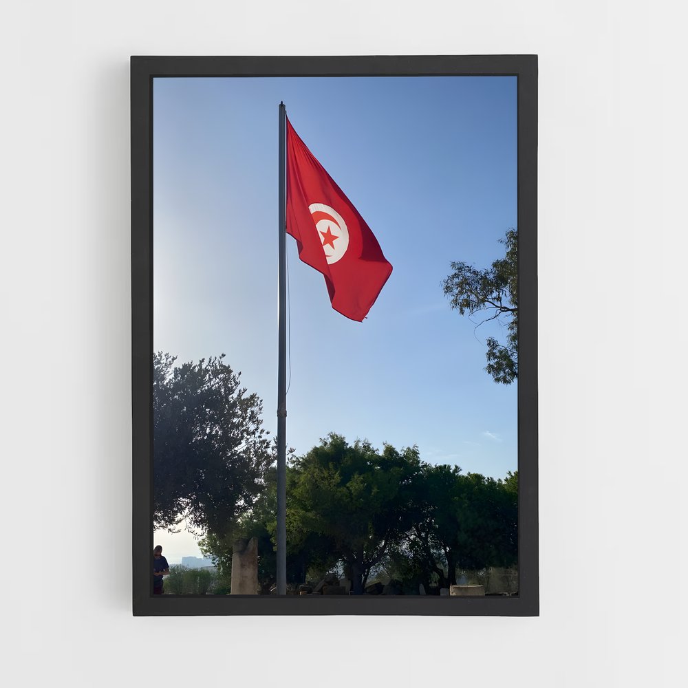 ap-tunisia flag-3 cadre Noir