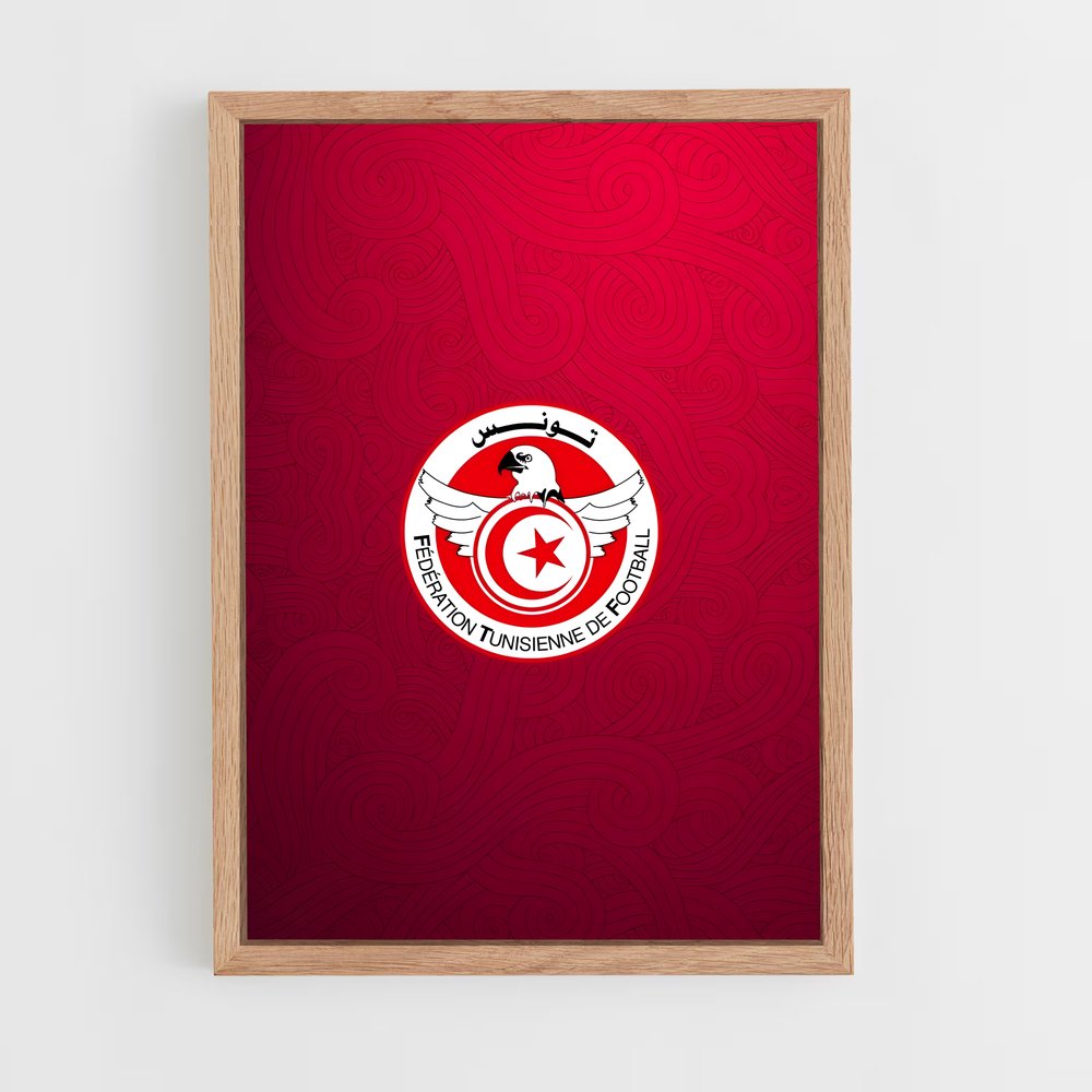 ap-tunisia national football team-5 cadre Bois clair