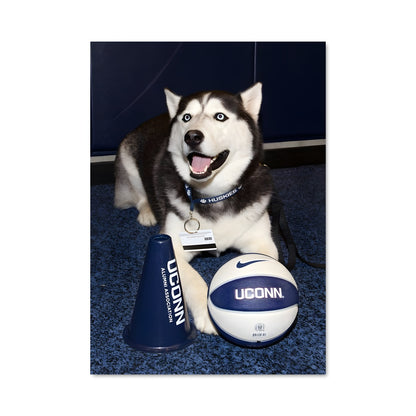Poster Husky Touchdown