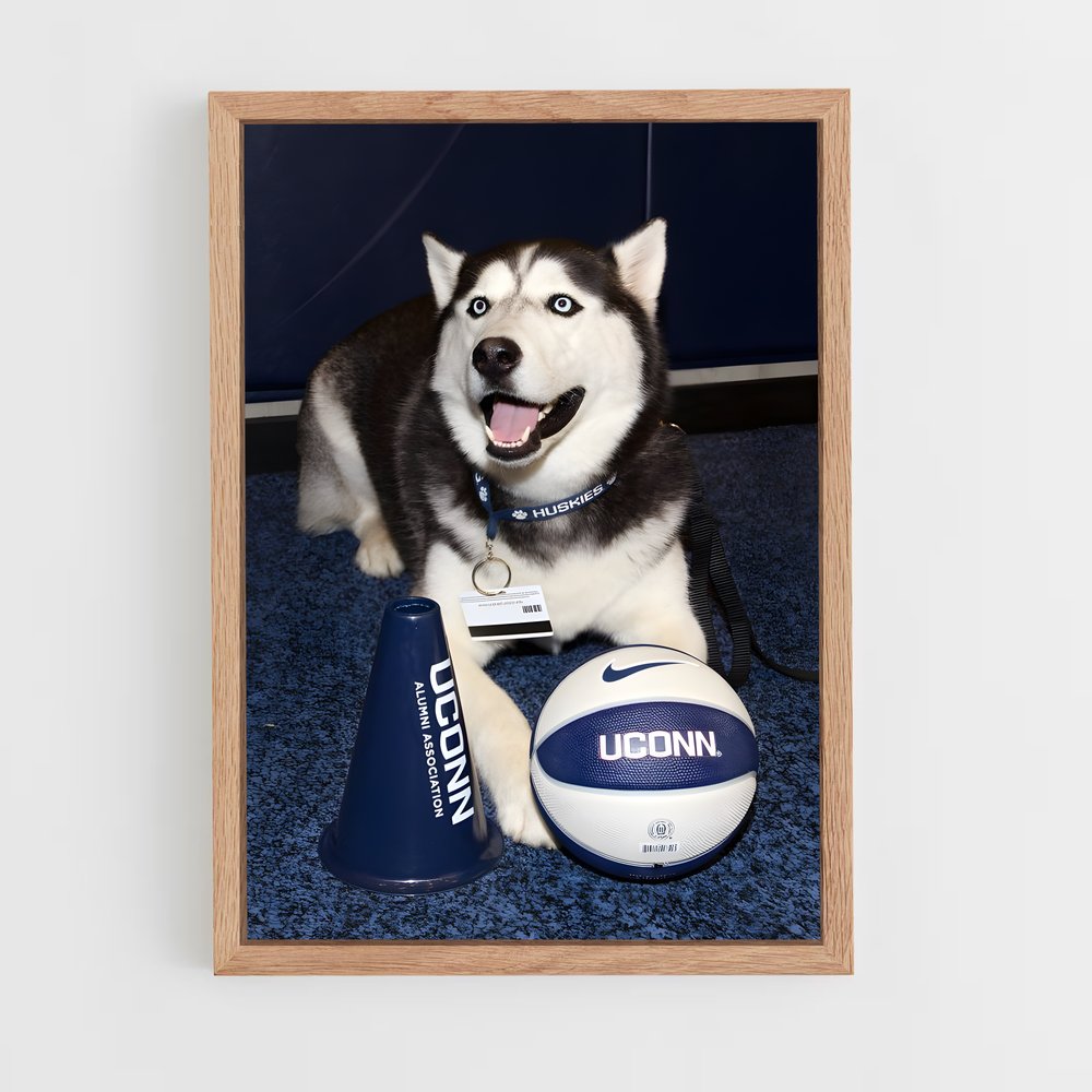ap-uconn huskies-4 cadre Bois clair
